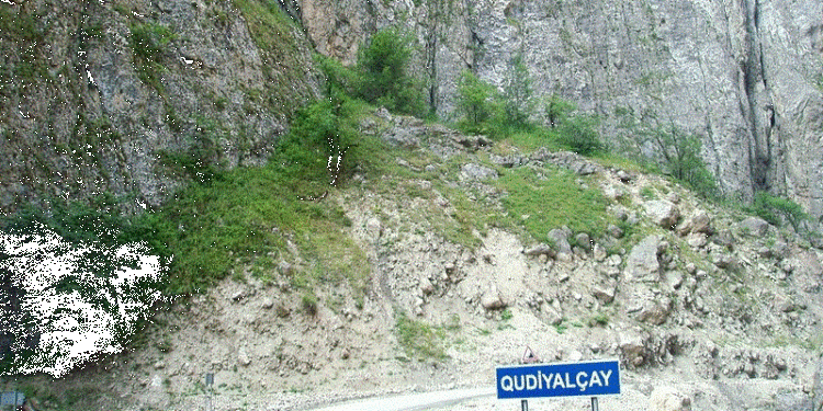 Qubada iki qardaş çaya yıxılıb, biri ölüb